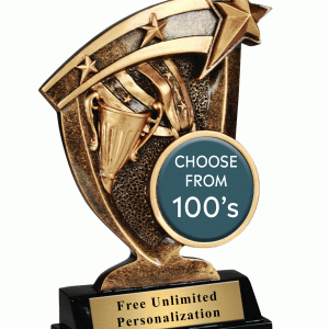 Broadcast Insert Award