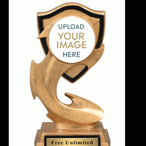 Electric Flame Custom Insert Resin