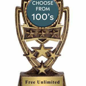 Four Star Insert Trophy