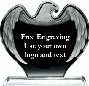 Frosted Eagle Acrylic Award