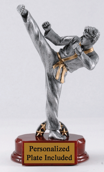 Prestige Karate Trophy – Male - Provano Store SKU: RFC769 Provano Store 客製 - Provano Store Prestige Karate Trophy – Male