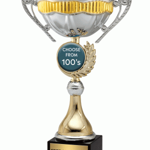 Silver & Gold Victory Wreath Insert Cup