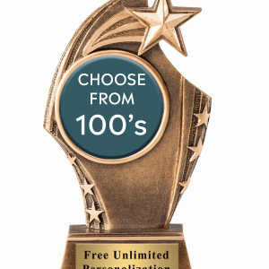 Star Sweep Insert Award